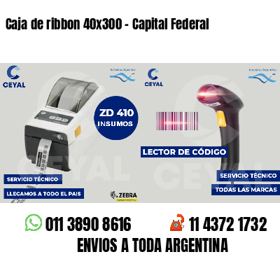 Caja de ribbon 40x300 - Capital Federal