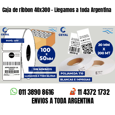 Caja de ribbon 40x300 - Llegamos a toda Argentina