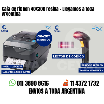 Caja de ribbon 40x300 resina - Llegamos a toda Argentina