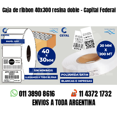 Caja de ribbon 40x300 resina doble - Capital Federal