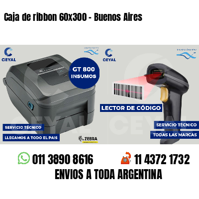 Caja de ribbon 60x300 - Buenos Aires