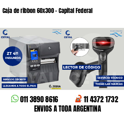 Caja de ribbon 60x300 - Capital Federal