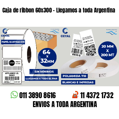 Caja de ribbon 60x300 - Llegamos a toda Argentina