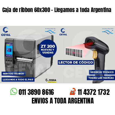 Caja de ribbon 60x300 - Llegamos a toda Argentina