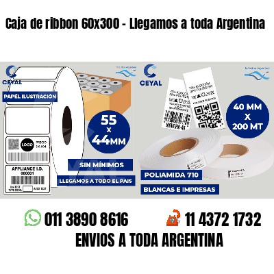 Caja de ribbon 60x300 - Llegamos a toda Argentina