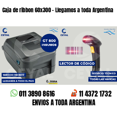 Caja de ribbon 60x300 - Llegamos a toda Argentina