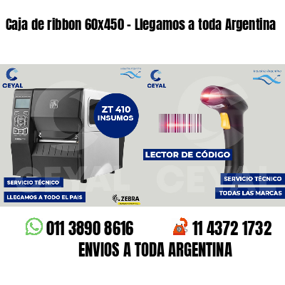 Caja de ribbon 60x450 - Llegamos a toda Argentina