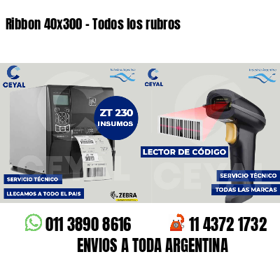 Ribbon 40x300 - Todos los rubros