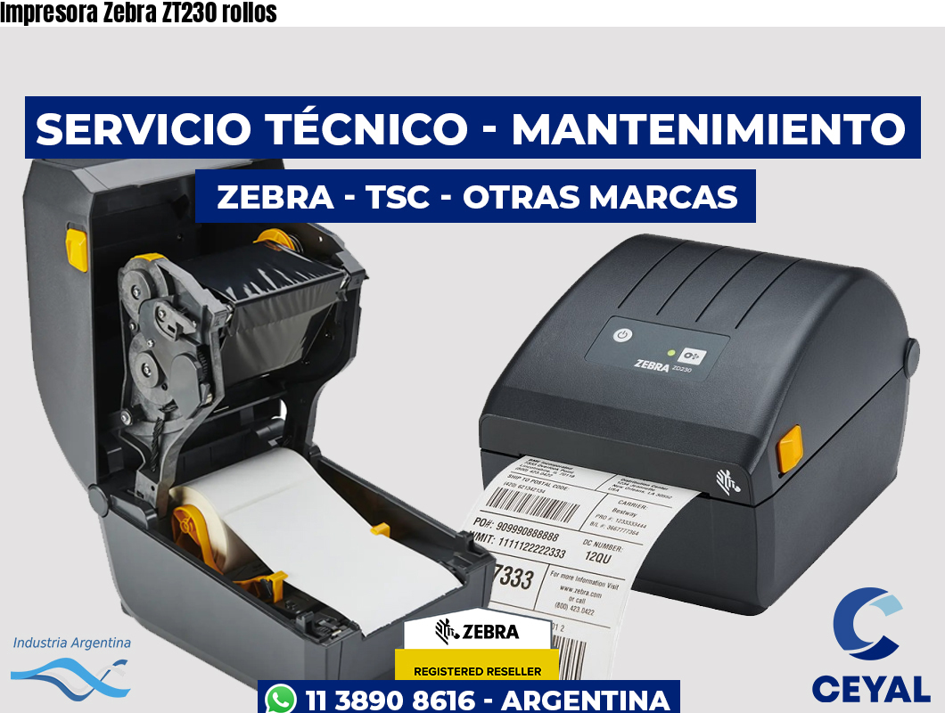Impresora Zebra ZT230 rollos