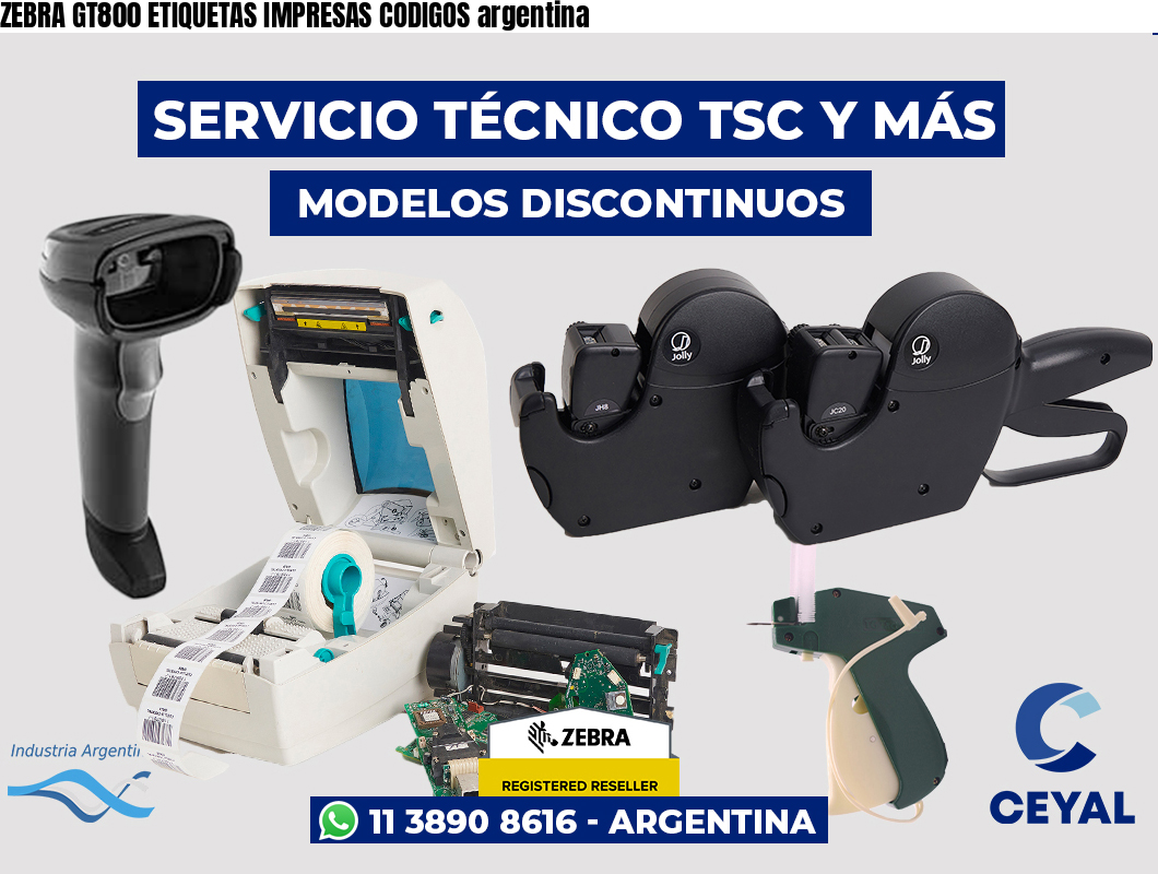 ZEBRA GT800 ETIQUETAS IMPRESAS CODIGOS argentina