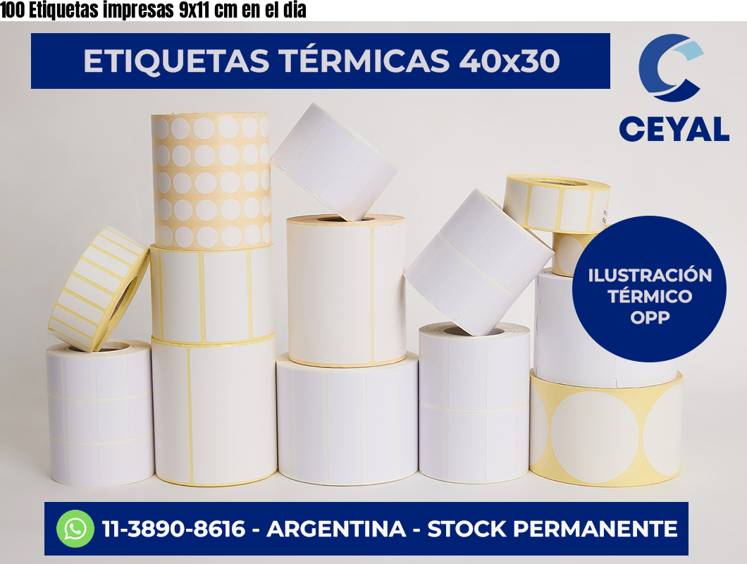 100 Etiquetas impresas 9×11 cm en el dia