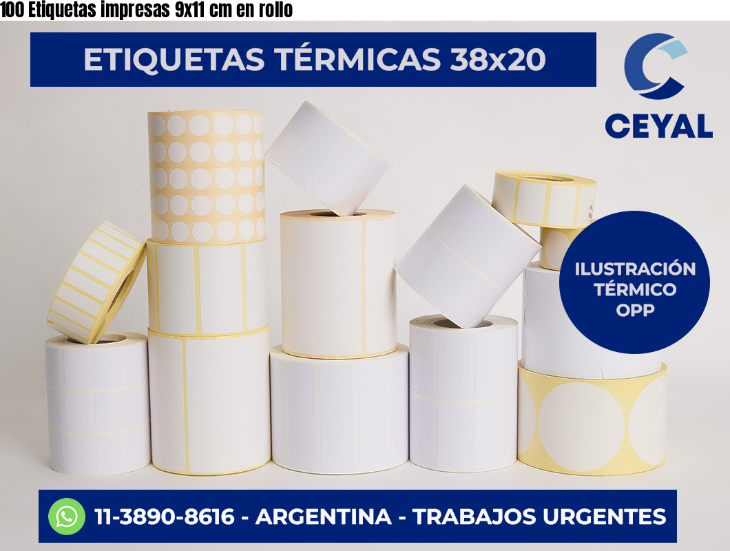 100 Etiquetas impresas 9×11 cm en rollo