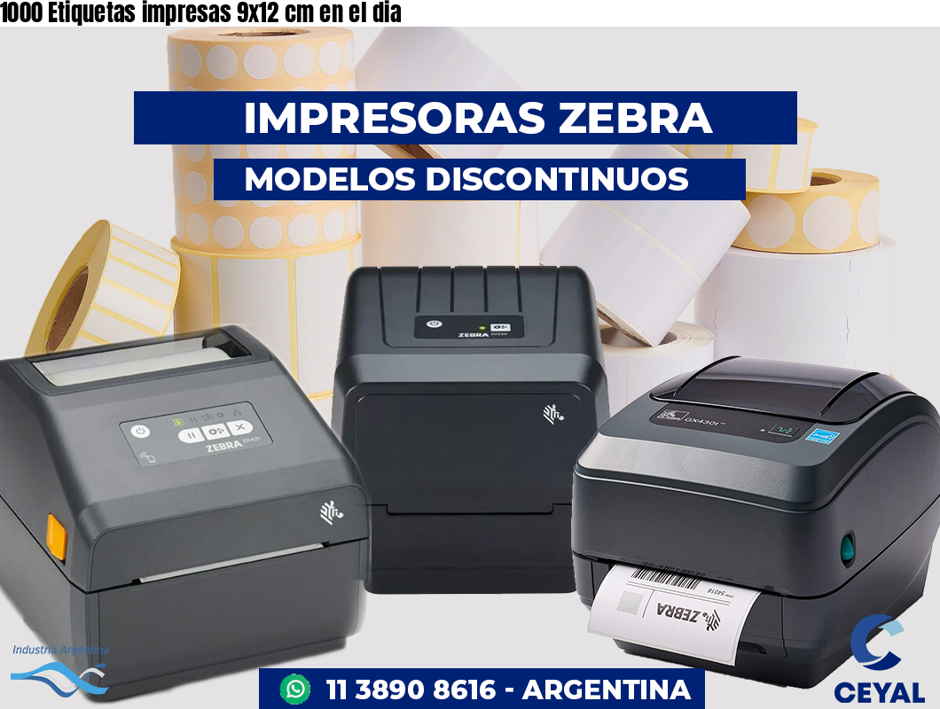1000 Etiquetas impresas 9x12 cm en el dia