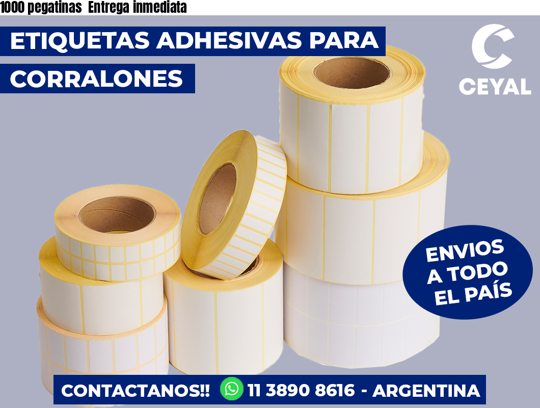 1000 pegatinas  Entrega inmediata