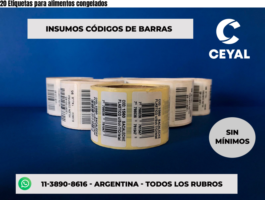 20 Etiquetas para alimentos congelados