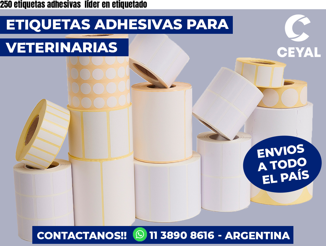 250 etiquetas adhesivas líder en etiquetado