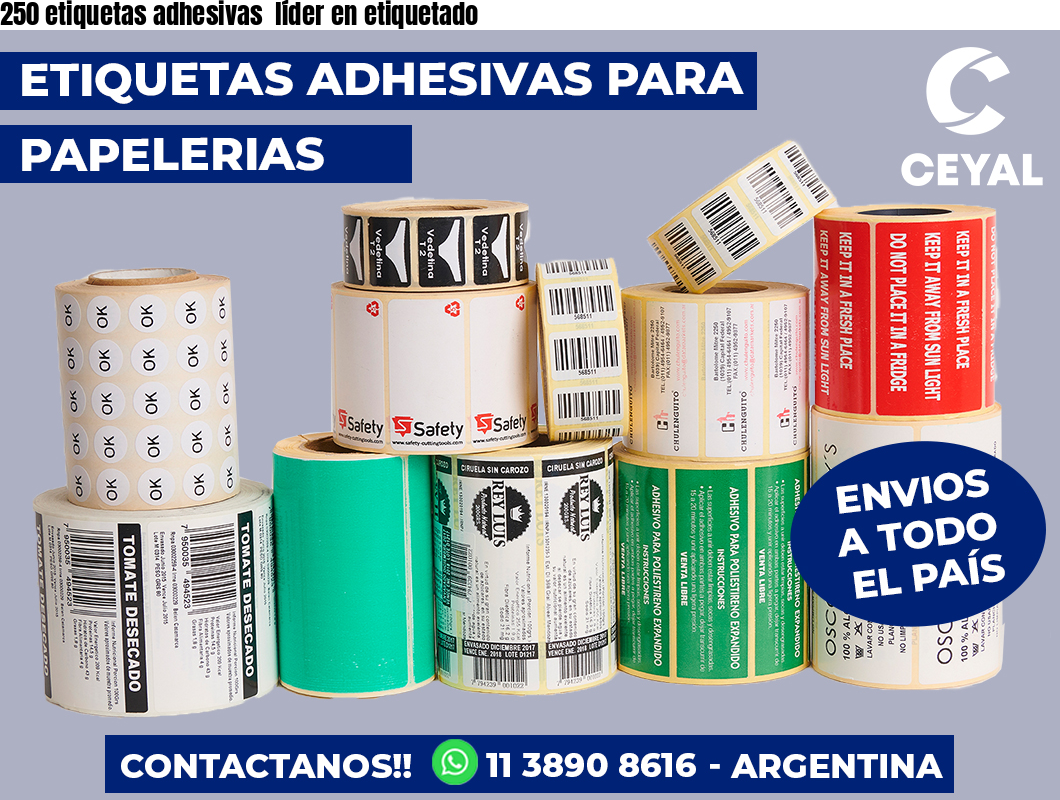 250 etiquetas adhesivas  líder en etiquetado