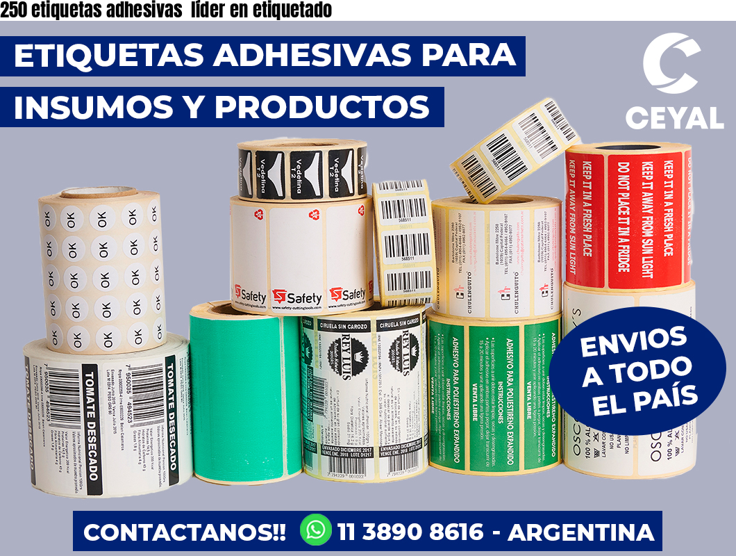 250 etiquetas adhesivas  líder en etiquetado