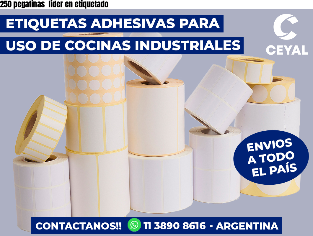 250 pegatinas  líder en etiquetado