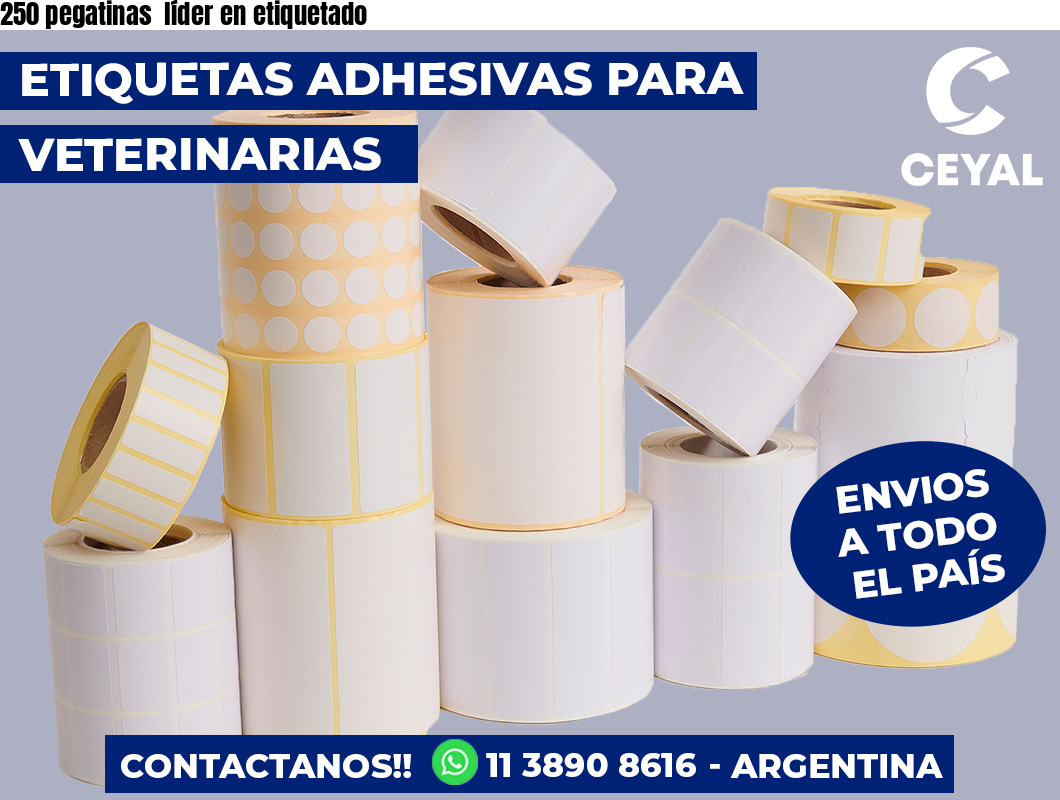 250 pegatinas líder en etiquetado