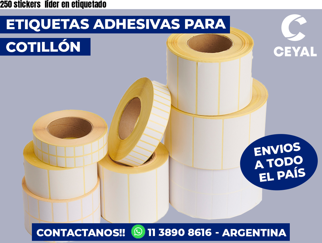 250 stickers líder en etiquetado