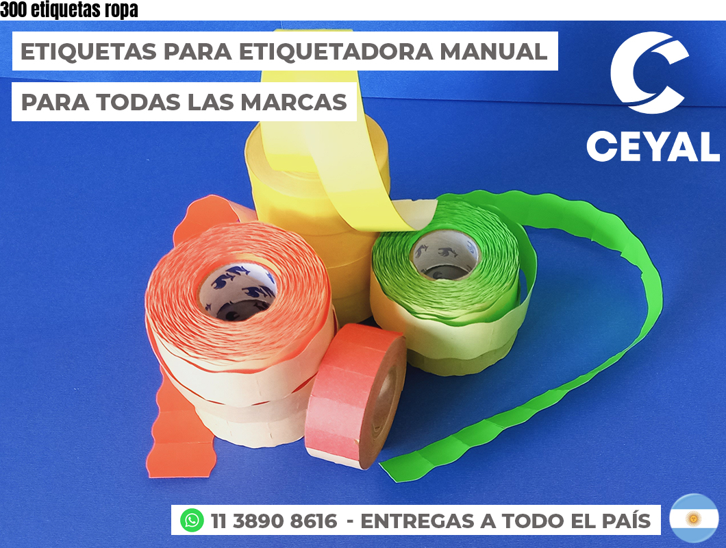 300 etiquetas ropa