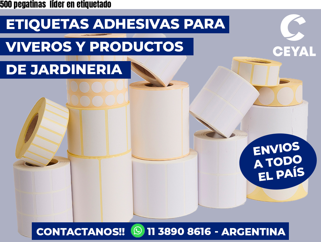 500 pegatinas líder en etiquetado