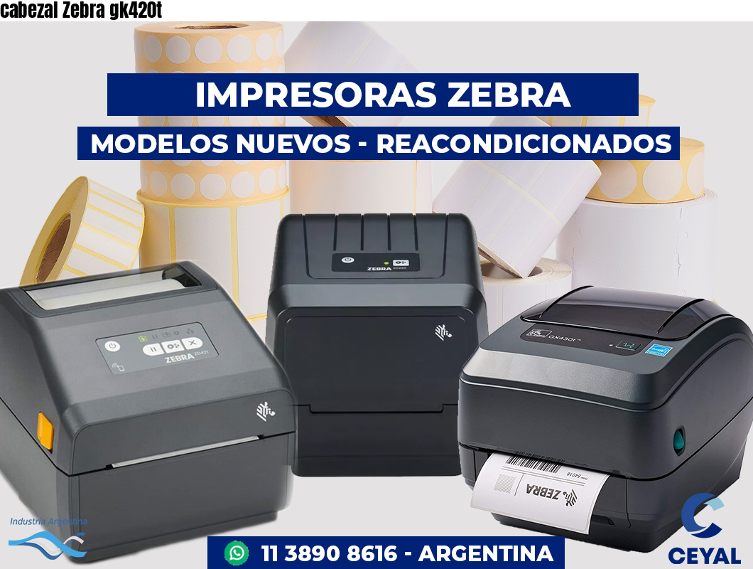 cabezal Zebra gk420t