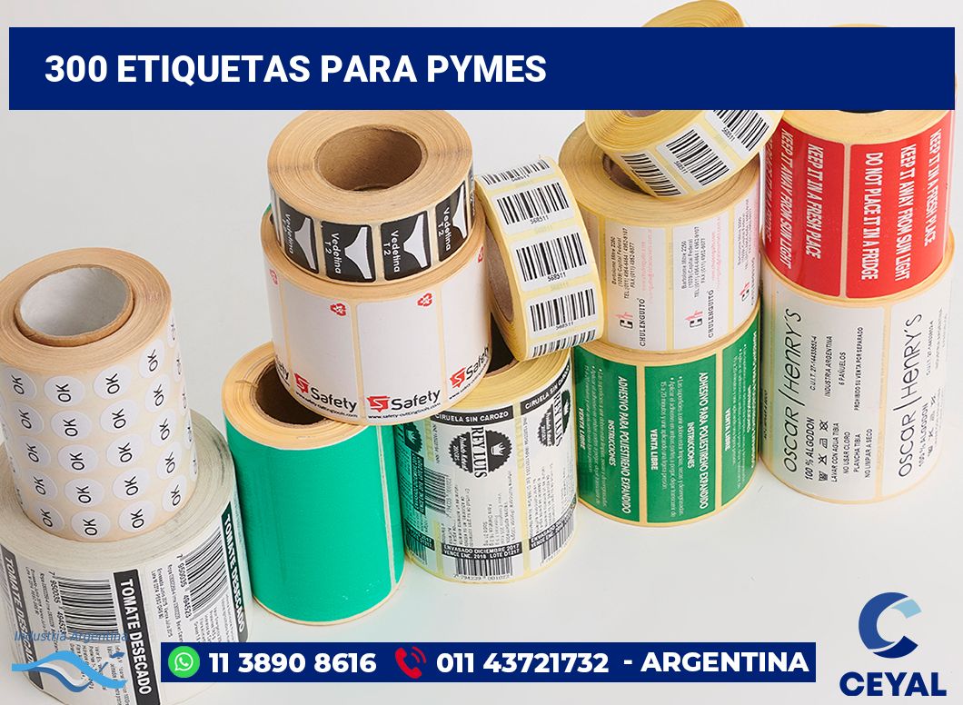 300 Etiquetas para pymes