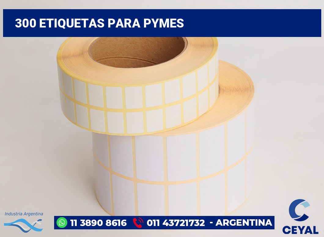 300 Etiquetas para pymes