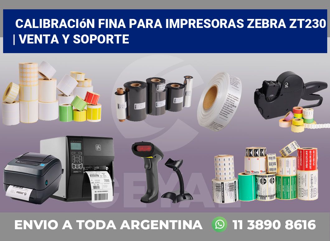 Calibración fina para impresoras Zebra ZT230 | Venta y soporte