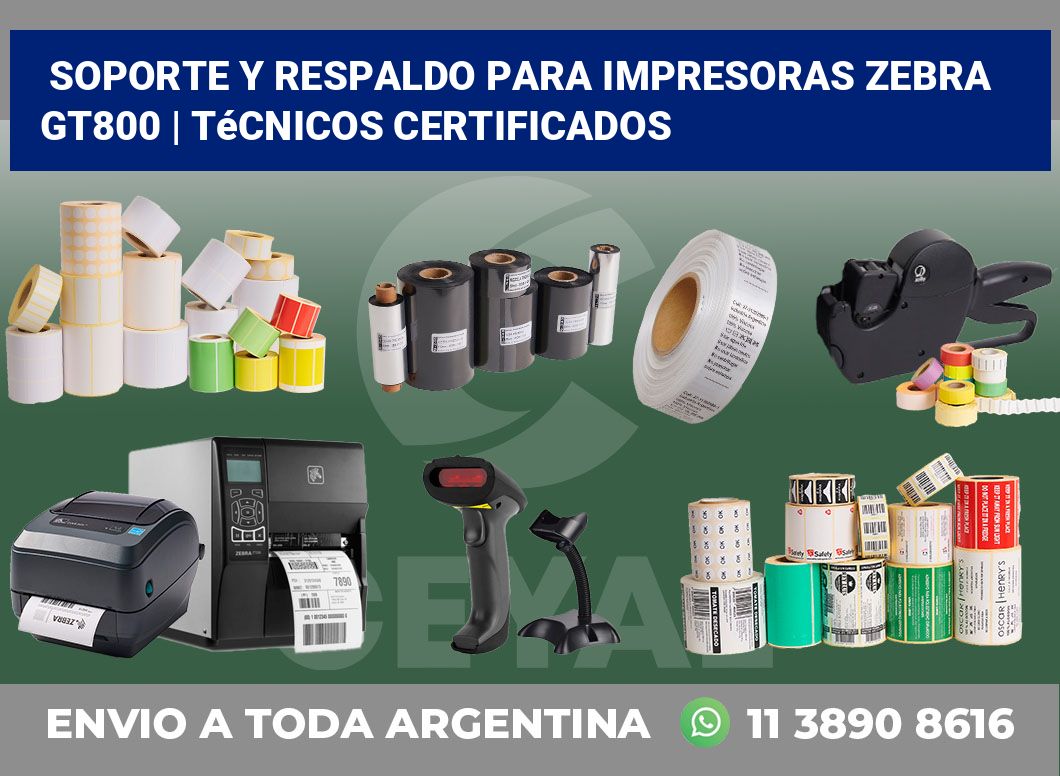 Soporte y respaldo para impresoras Zebra GT800 | Técnicos certificados