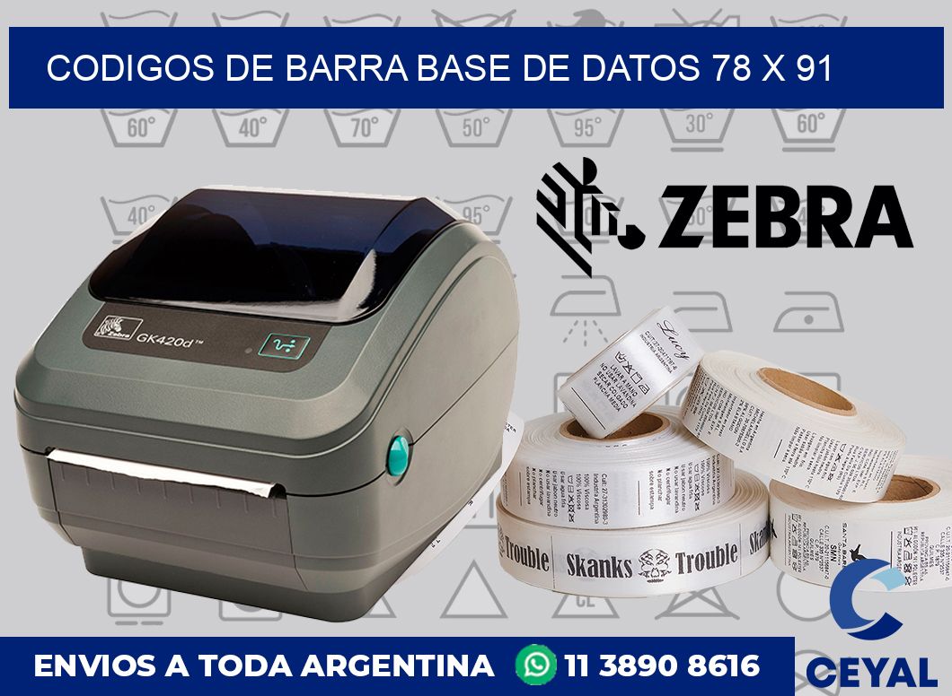 Codigos de barra base de datos 78 x 91