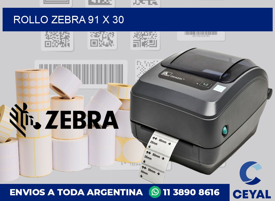 rollo zebra 91 x 30