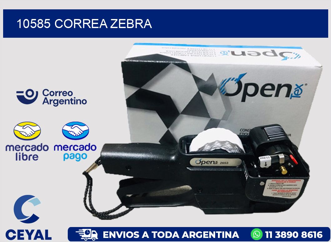 10585 CORREA ZEBRA