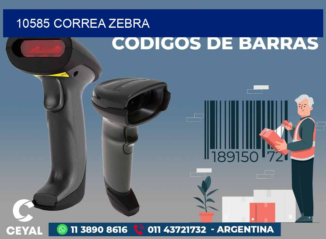 10585 CORREA ZEBRA