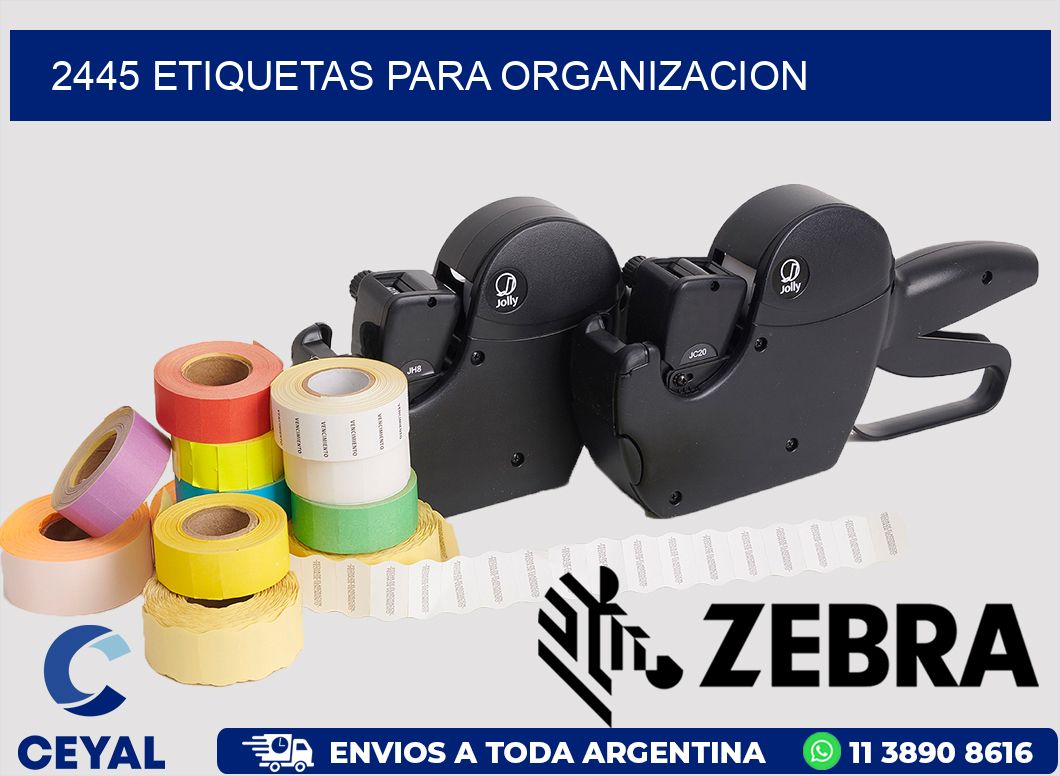 2445 ETIQUETAS PARA ORGANIZACION
