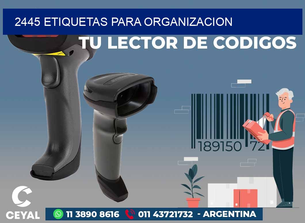 2445 ETIQUETAS PARA ORGANIZACION