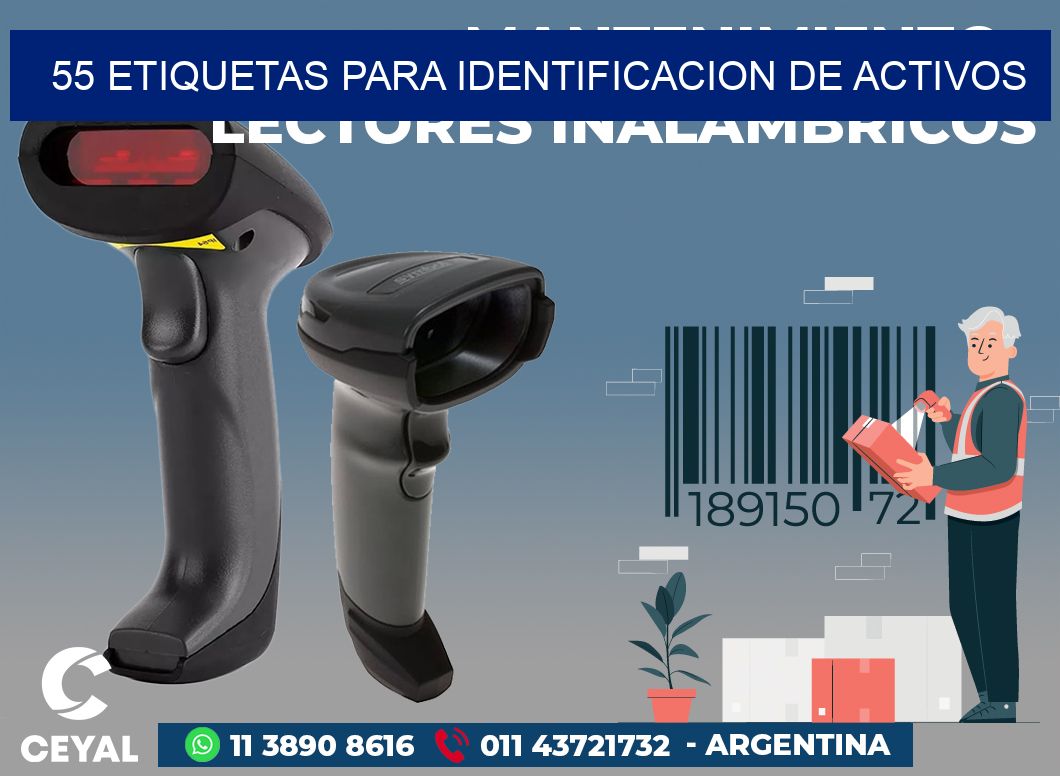 55 ETIQUETAS PARA IDENTIFICACION DE ACTIVOS