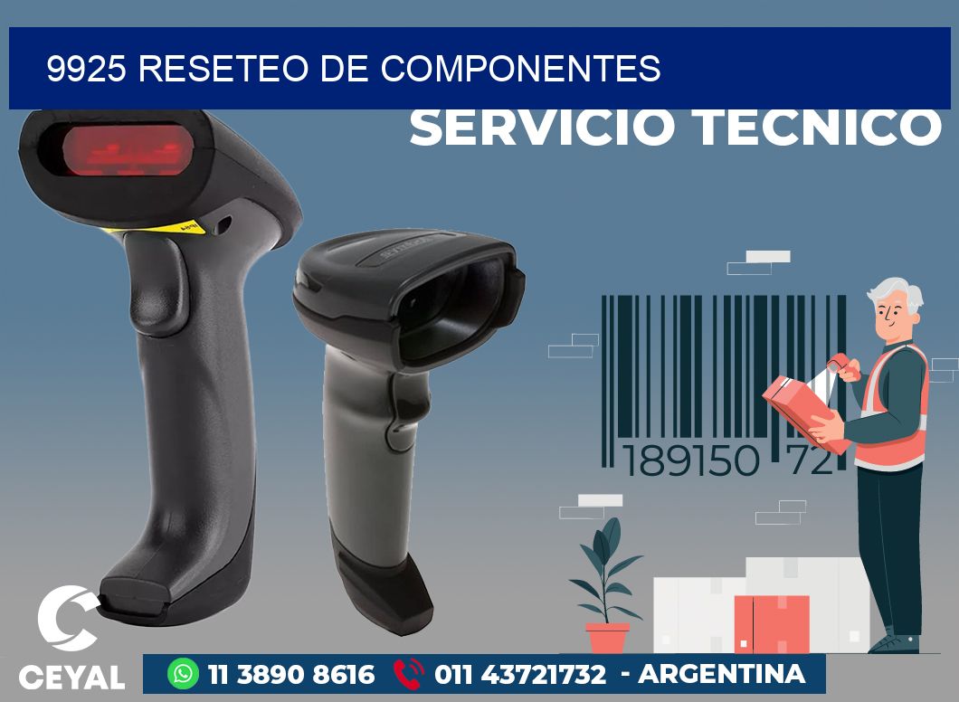 9925 RESETEO DE COMPONENTES
