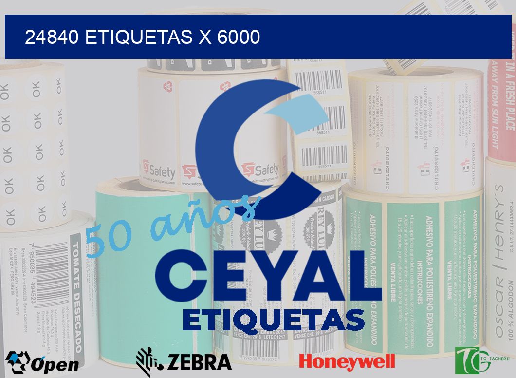 24840 Etiquetas x 6000