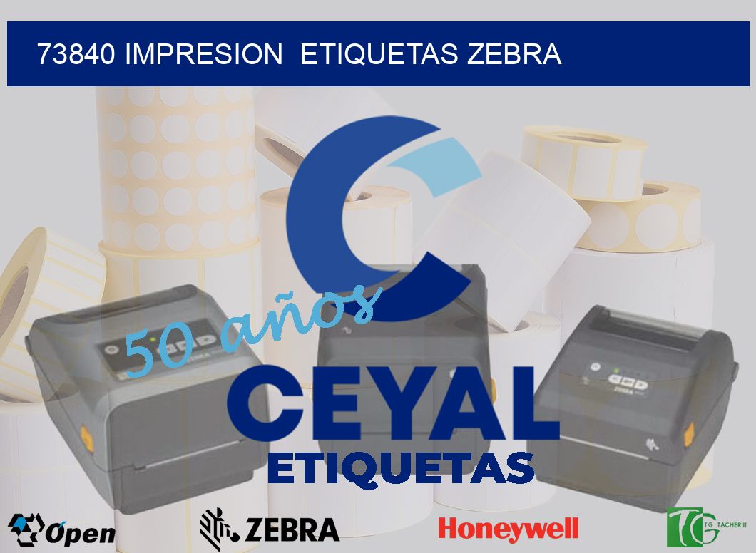 73840 impresion  etiquetas zebra