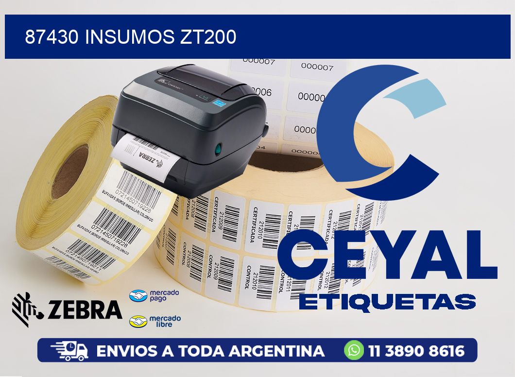 87430 INSUMOS ZT200