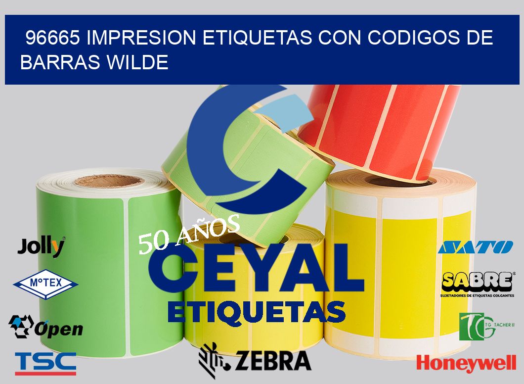 96665 IMPRESION ETIQUETAS CON CODIGOS DE BARRAS WILDE