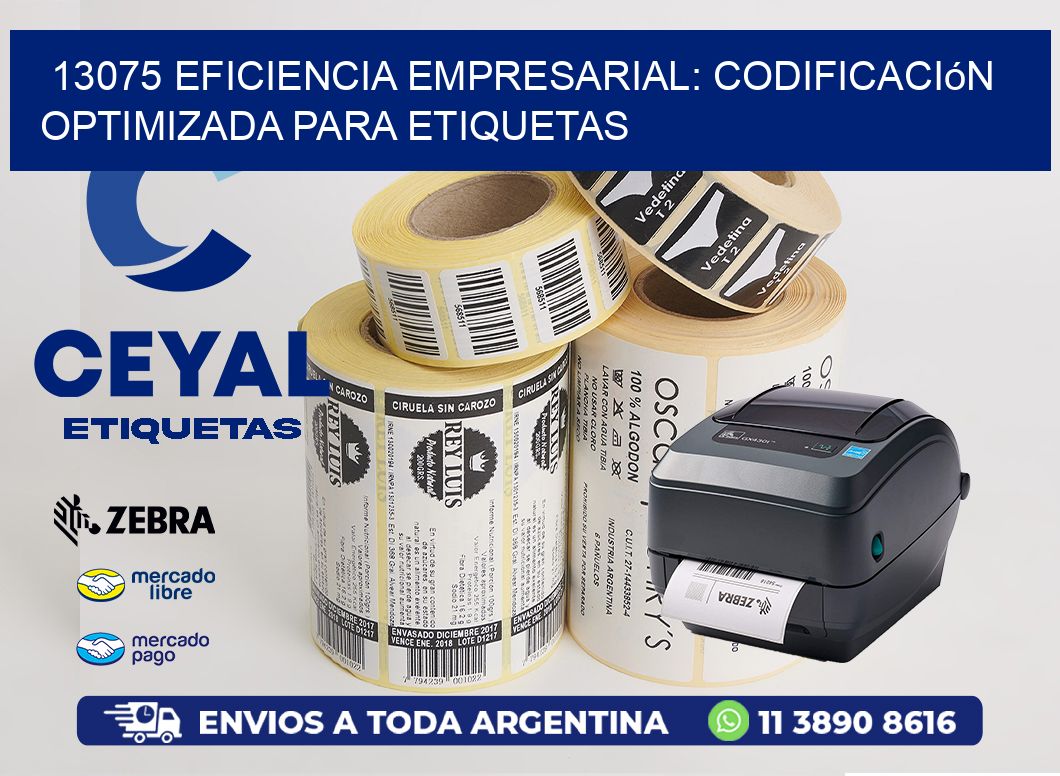 13075 Eficiencia Empresarial: Codificación Optimizada para Etiquetas