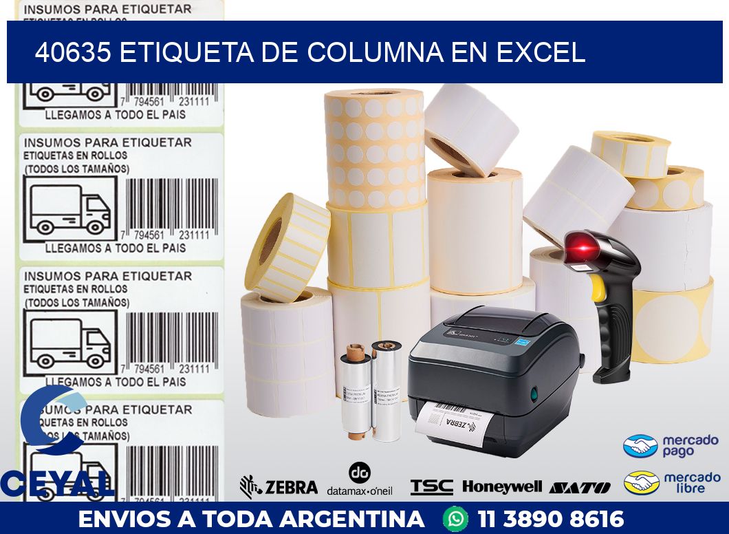 40635 Etiqueta de columna en Excel