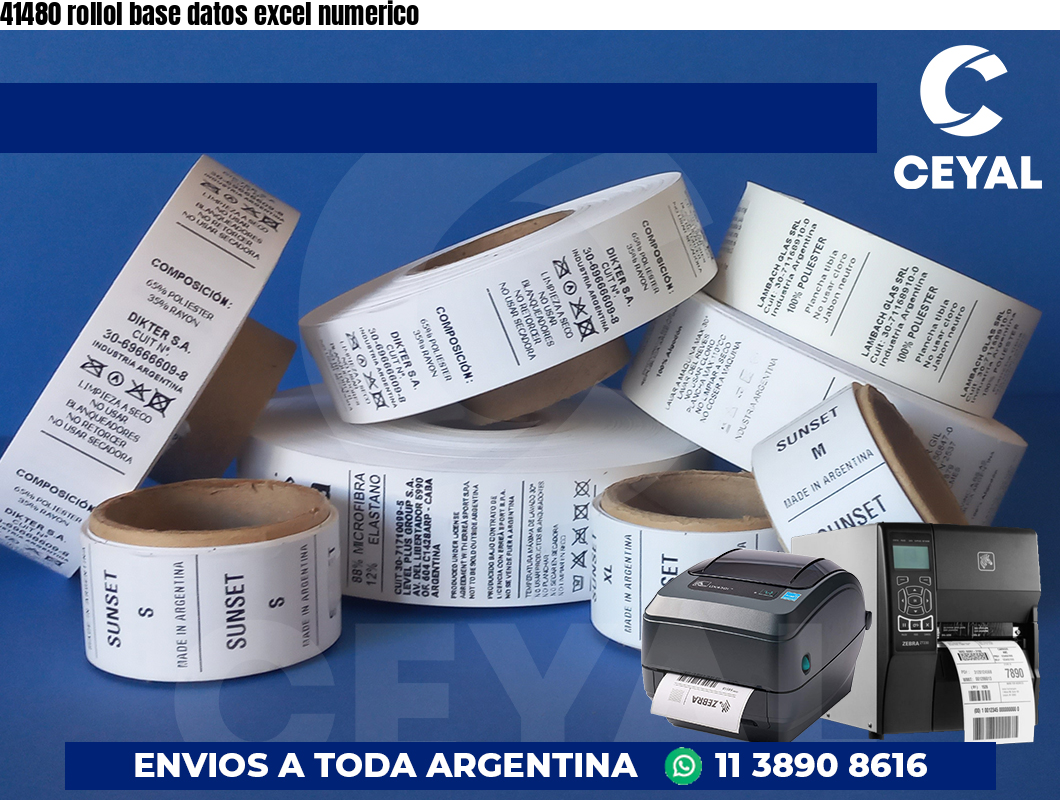 41480 rollol base datos excel numerico
