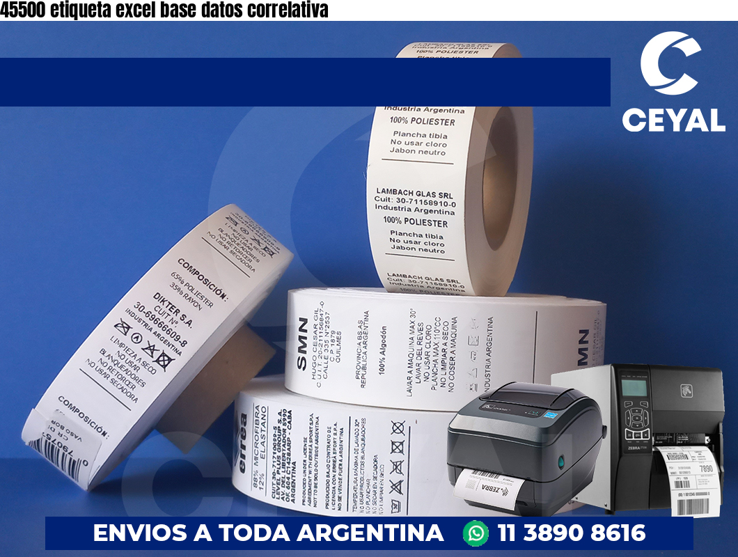 45500 etiqueta excel base datos correlativa