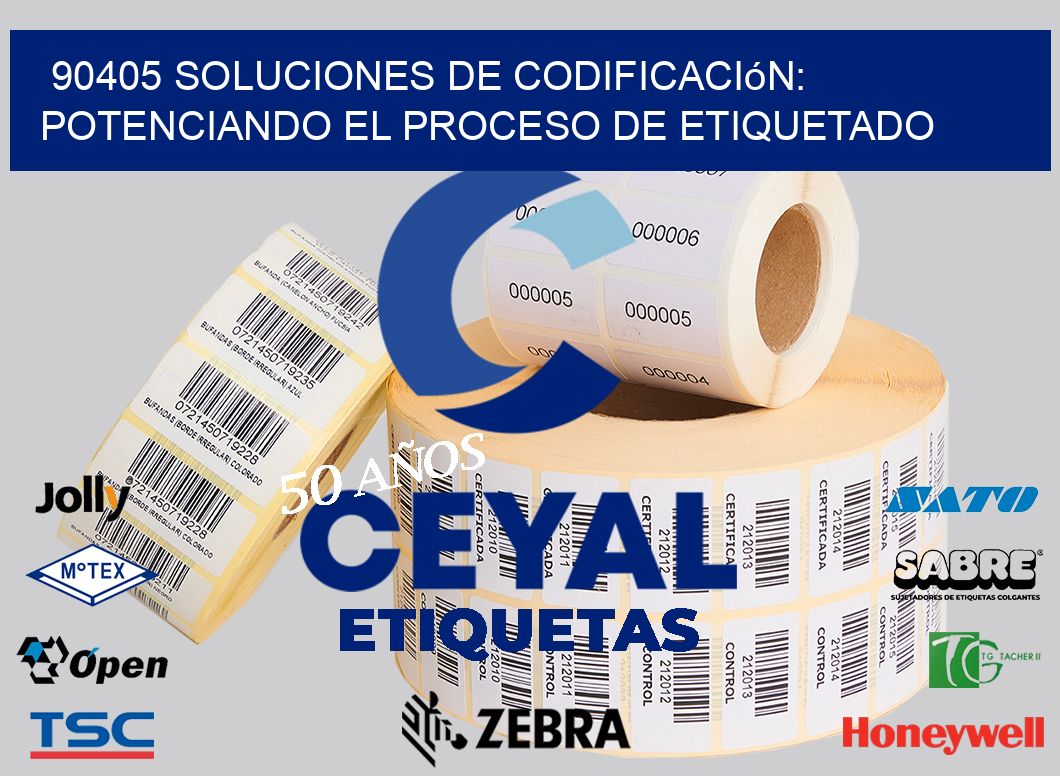 90405 Soluciones de Codificación: Potenciando el Proceso de Etiquetado