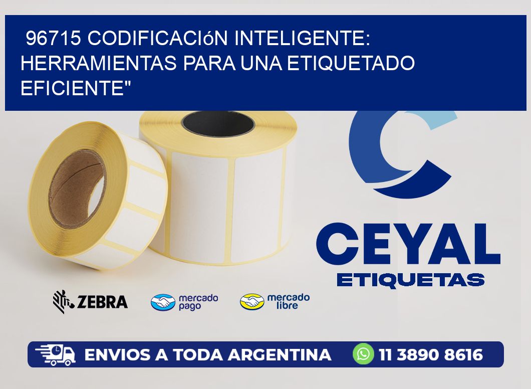 96715 Codificación Inteligente: Herramientas para una Etiquetado Eficiente